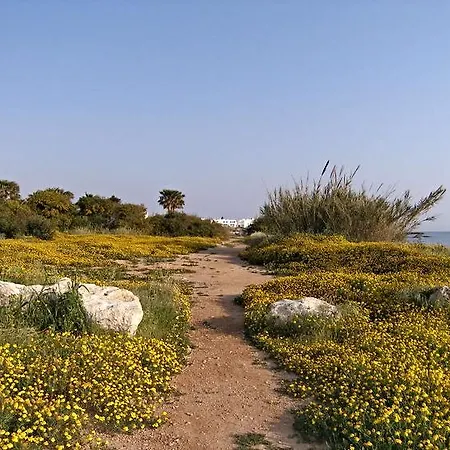 Luxury Bay View 20 Right On τhe * Protaras